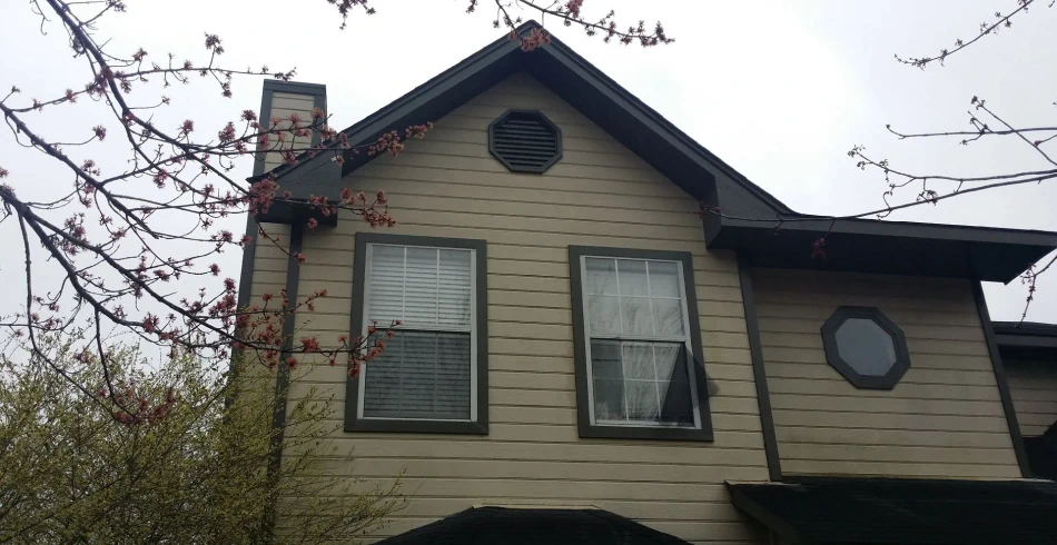 Window Installation & Replacement (1)